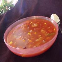 Tomato Vegetable Soup image
