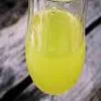 Limoncello and Candied Lemon Peel image