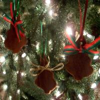 Cinnamon Applesauce Ornaments_image