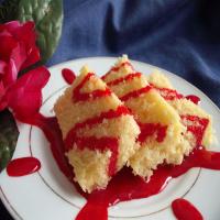 Iraqi Vanilla Cake With Pomegranate Sauce image