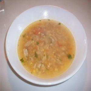 Spicy Hearty Mexican Ground Turkey Soup_image