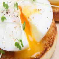 Poached Eggs_image