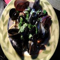 Mussels in Lemon Cream_image