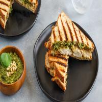 Grilled Chicken Panini Sandwich With Pesto_image