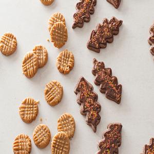Chocolate Leaf Cookies image