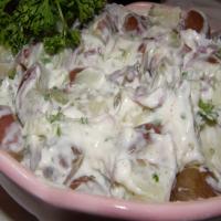 Red Potato Salad, low-fat_image