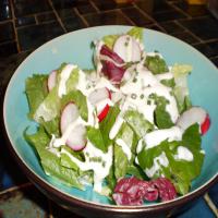 The Realtor's Emerald Isle Creamy Horseradish Salad Dressing_image
