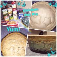 Veg-All Pot Pie image