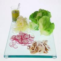 Fennel, Radish and Chive Salad image
