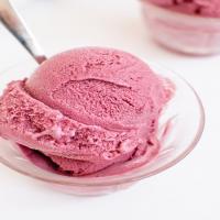 Blueberry Frozen Yogurt_image