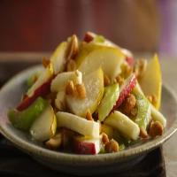 Apple-Pear Salad_image