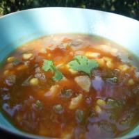 Ww Chicken Tortilla Soup Without the Tortillas_image