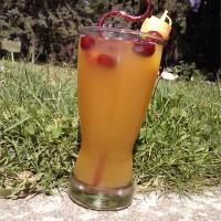 Cranberry Pineapple Juice_image