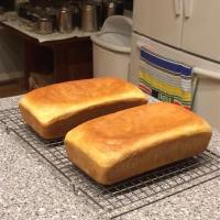 Salt Rising Bread image