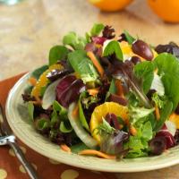 Orange and Fennel Salad_image