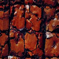 Molten Chocolate Chunk Brownies image