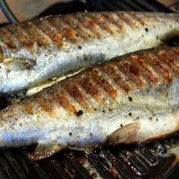 Quick Grilled Trout image