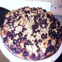 Granite Steps Country Blueberry Coffee Cake_image