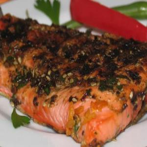 Grilled Fillet of Salmon with Summer Squash image