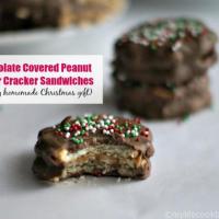 Chocolate Covered Peanut Butter Cracker Sandwiches_image