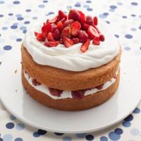 Strawberry Rhubarb Shortcake_image