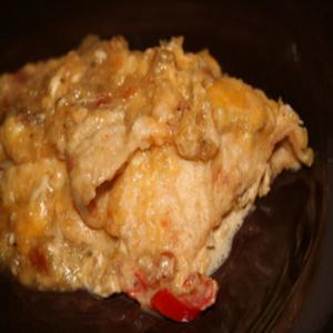 Chicken Enchiladas_image