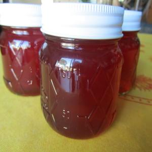 Cranberry Bee Balm Jelly_image