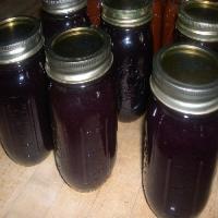 Home Canning Grape Jelly Recipe - (4.2/5)_image