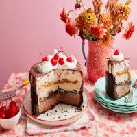Best Ice Cream Cake_image