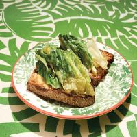 Braised Lettuce on Anchovy Toast_image