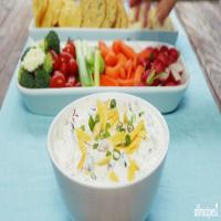 Cheesy Sour Cream and Salsa Dip image