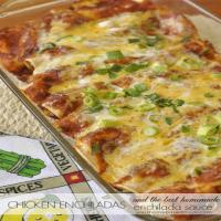 Chicken Enchiladas & Enchilada Sauce Recipe - (4.5/5)_image