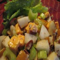 Crunchy Pear and Celery Salad image