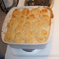 Chicken and Biscuits from Scratch_image