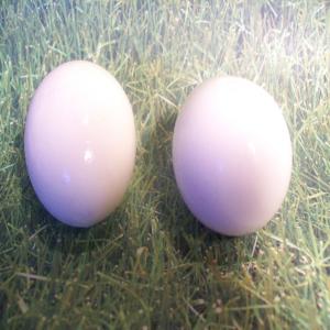 Perfect Hard Boiled Eggs_image