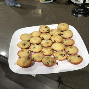 Blueberry (Or Chocolate Chip) Mini Muffins_image