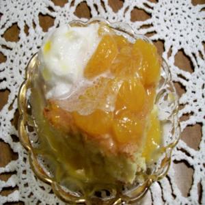 Orange Sponge Cake With Sauce by Freda_image