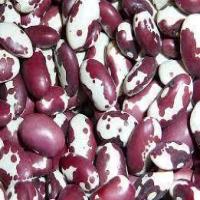 Anasazi Beans And Ham Soup image