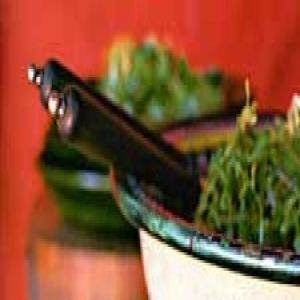 Frisée,watercress, and Mint Salad image