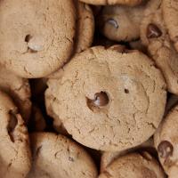 Hazelnut Cocoa Cookies_image