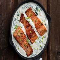 Creamed Salmon Recipe_image