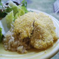 Mouth-Watering Oven-Fried Fish_image