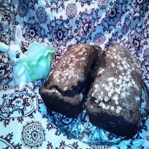 Chocolate Black Bean Sweet Loaf_image