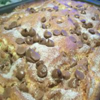 Sour Cream Cake With Chocolate Chips_image