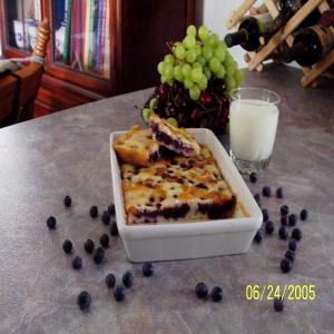 Low Fat Sugarless Blueberry Squares_image