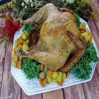 Fabulous Deep-Fried Turkey image