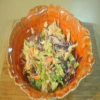 Witches Apple Cole Slaw image