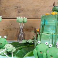 Frog cake_image