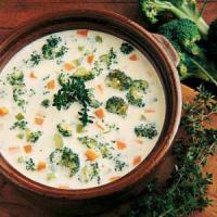 Cheesy Vegetable Soup_image