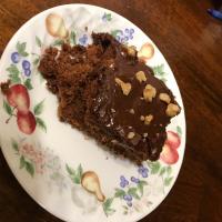 Thirty Minute Cocoa Cake With Quick Cocoa Frosting_image